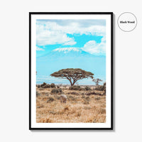 Kenya Fine Art Photo Print, Amboseli National Park, Kilimanjaro, Zebra Wall Poster