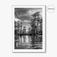 Louisiana Black and White Fine Art Photo Print, New Orleans Swamp, Bayou Poster