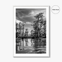Louisiana Black and White Fine Art Photo Print, New Orleans Swamp, Bayou Poster