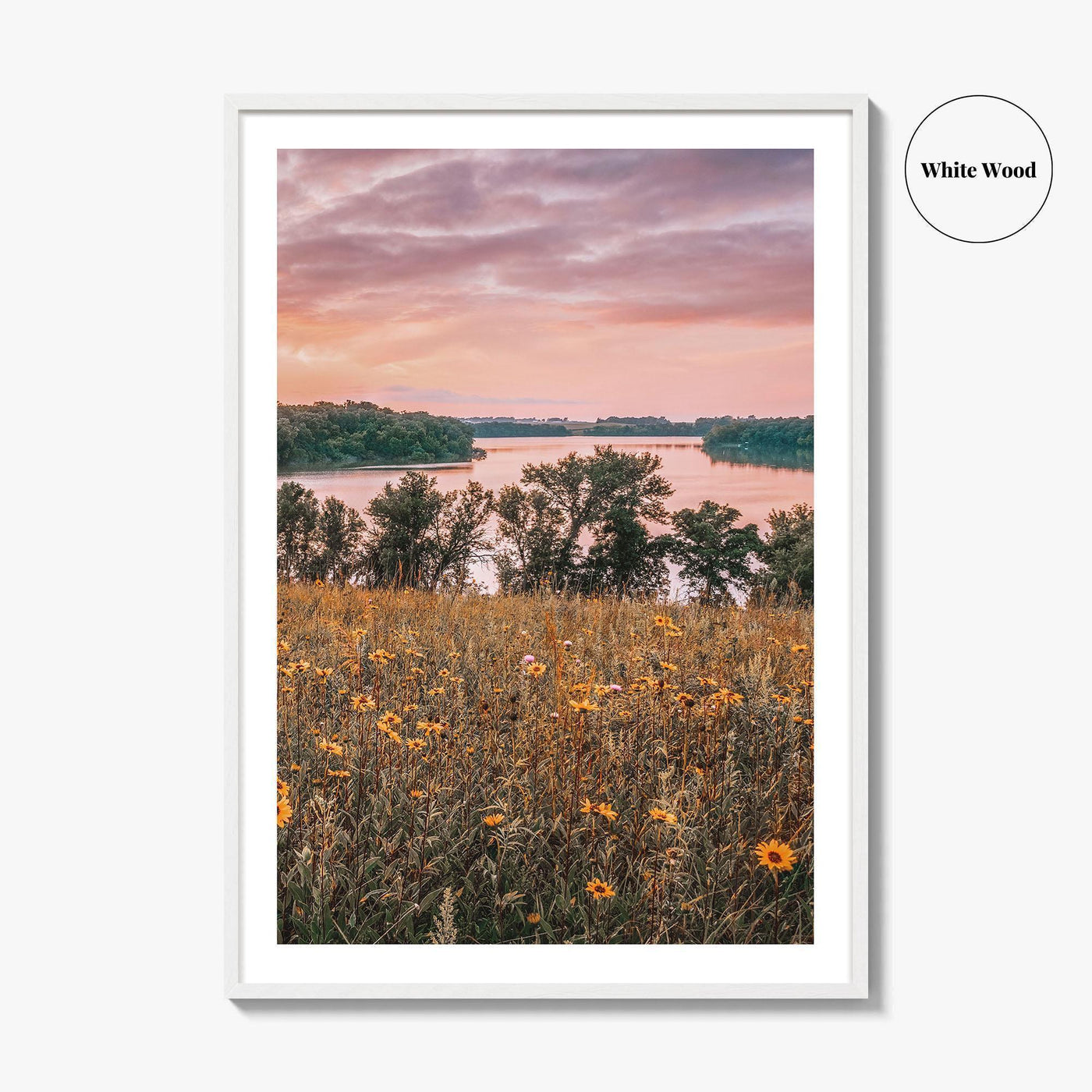 Minnesota Fine Art Photo Print, Summer Flowers Botanical Poster, USA