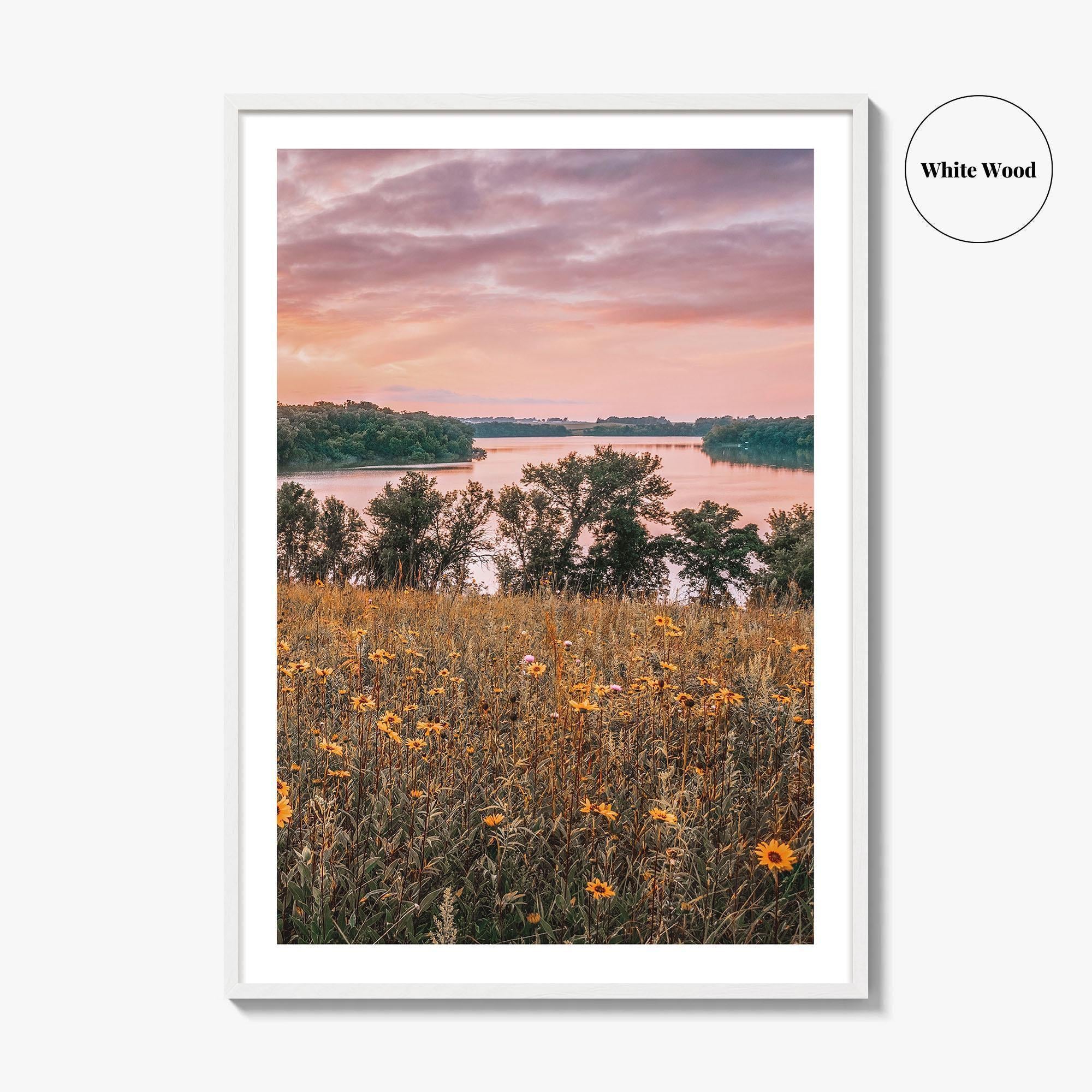 Minnesota Fine Art Photo Print, Summer Flowers Botanical Poster, USA