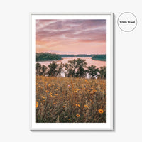 Minnesota Fine Art Photo Print, Summer Flowers Botanical Poster, USA