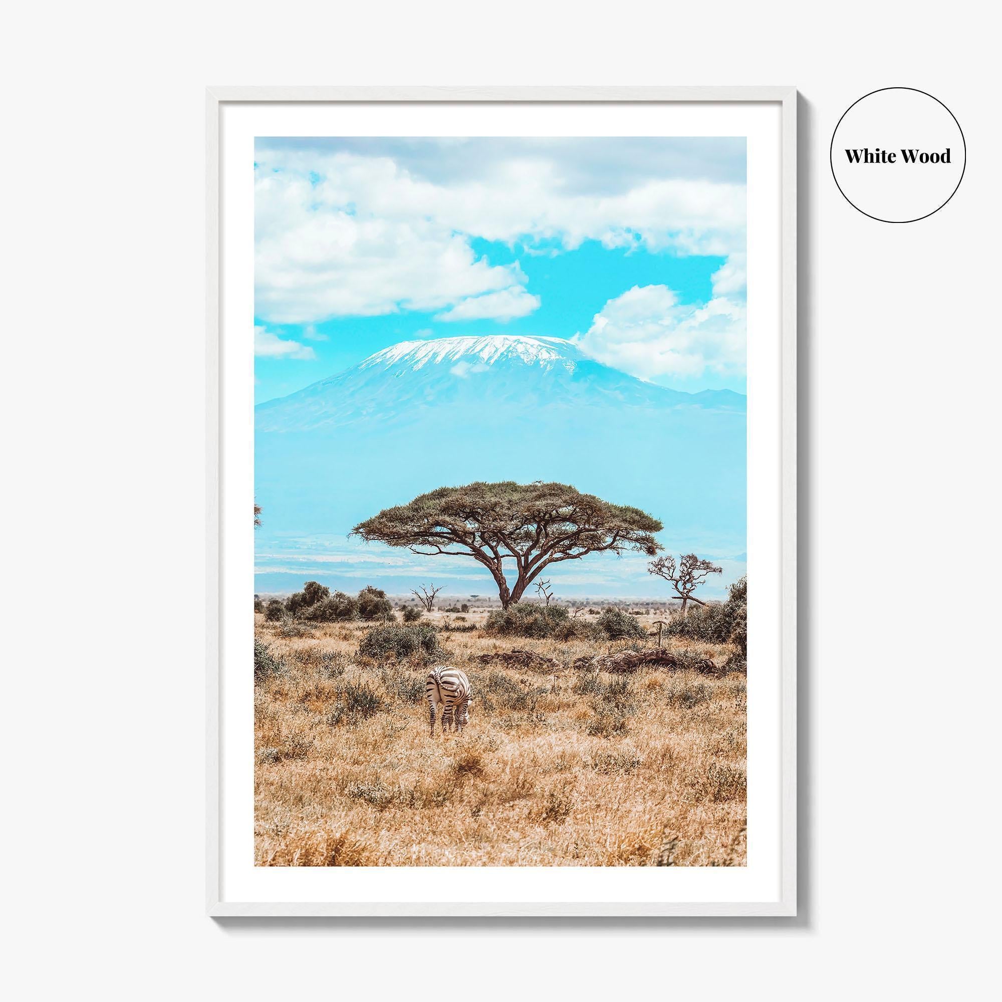 Kenya Fine Art Photo Print, Amboseli National Park, Kilimanjaro, Zebra Wall Poster