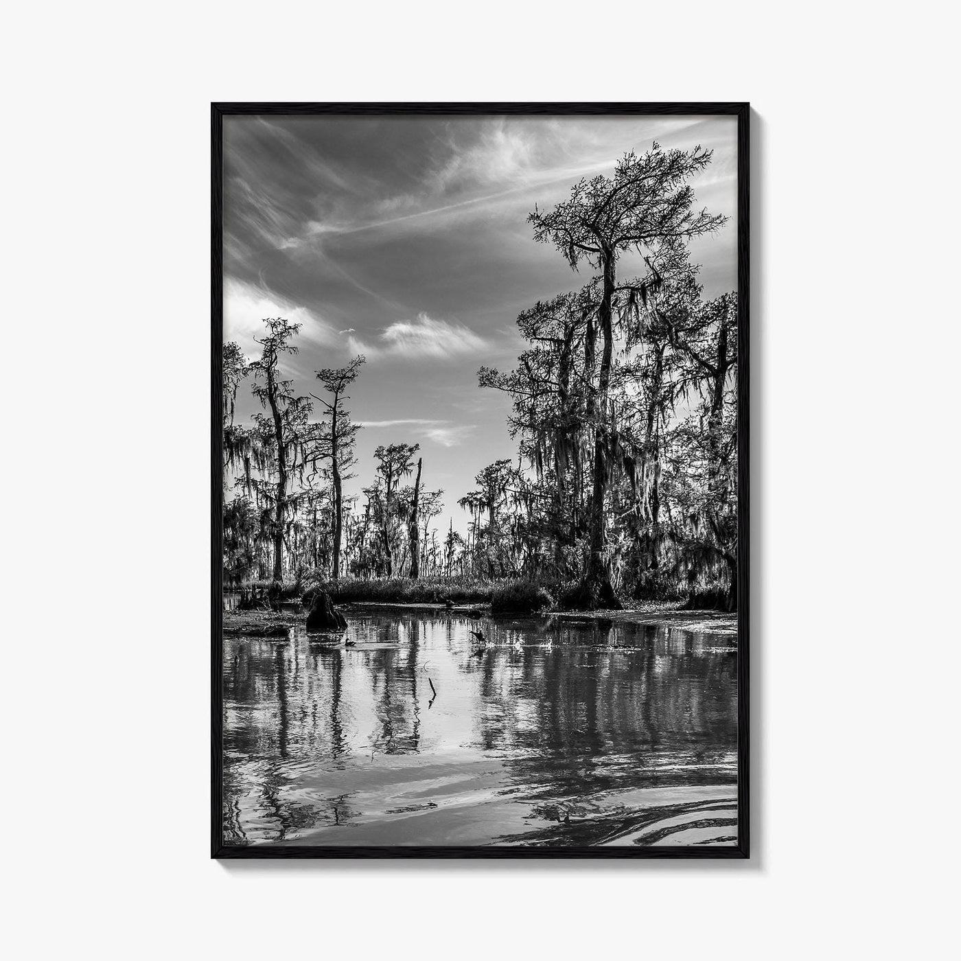 Louisiana Black and White Fine Art Photo Print, New Orleans Swamp, Bayou Poster
