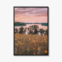 Minnesota Fine Art Photo Print, Summer Flowers Botanical Poster, USA