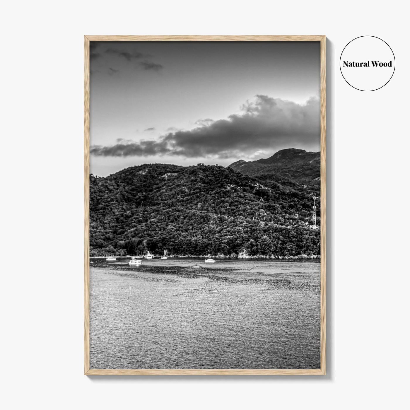 Labadee Black and White Fine Art Photo Print, Haiti Wall Poster, Tropical Port