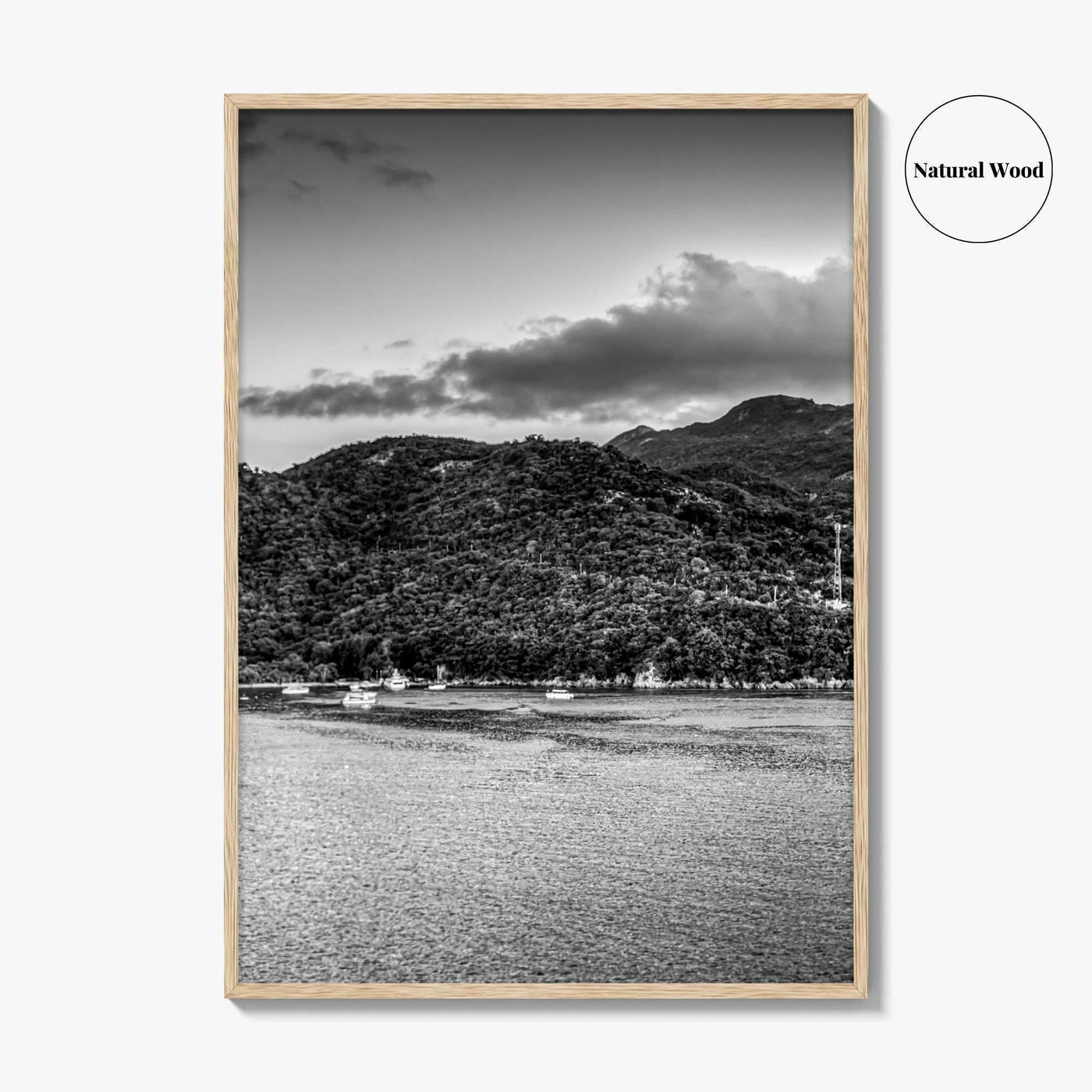Labadee Black and White Fine Art Photo Print, Haiti Wall Poster, Tropical Port