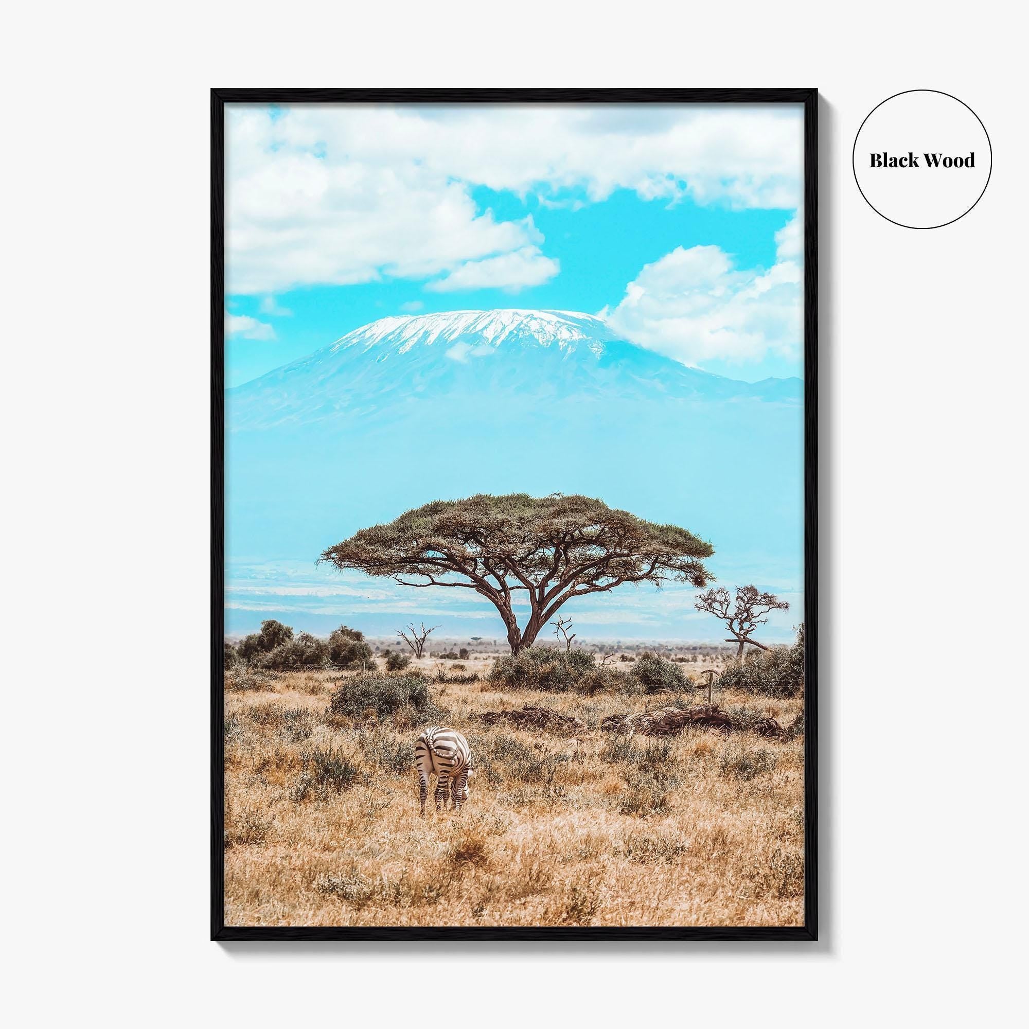 Kenya Fine Art Photo Print, Amboseli National Park, Kilimanjaro, Zebra Wall Poster