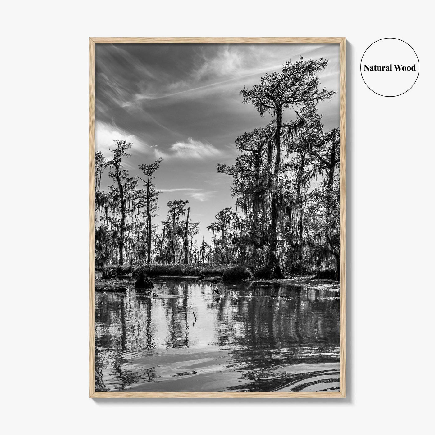 Louisiana Black and White Fine Art Photo Print, New Orleans Swamp, Bayou Poster