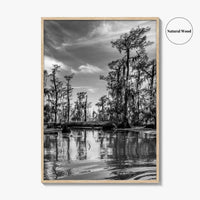 Louisiana Black and White Fine Art Photo Print, New Orleans Swamp, Bayou Poster