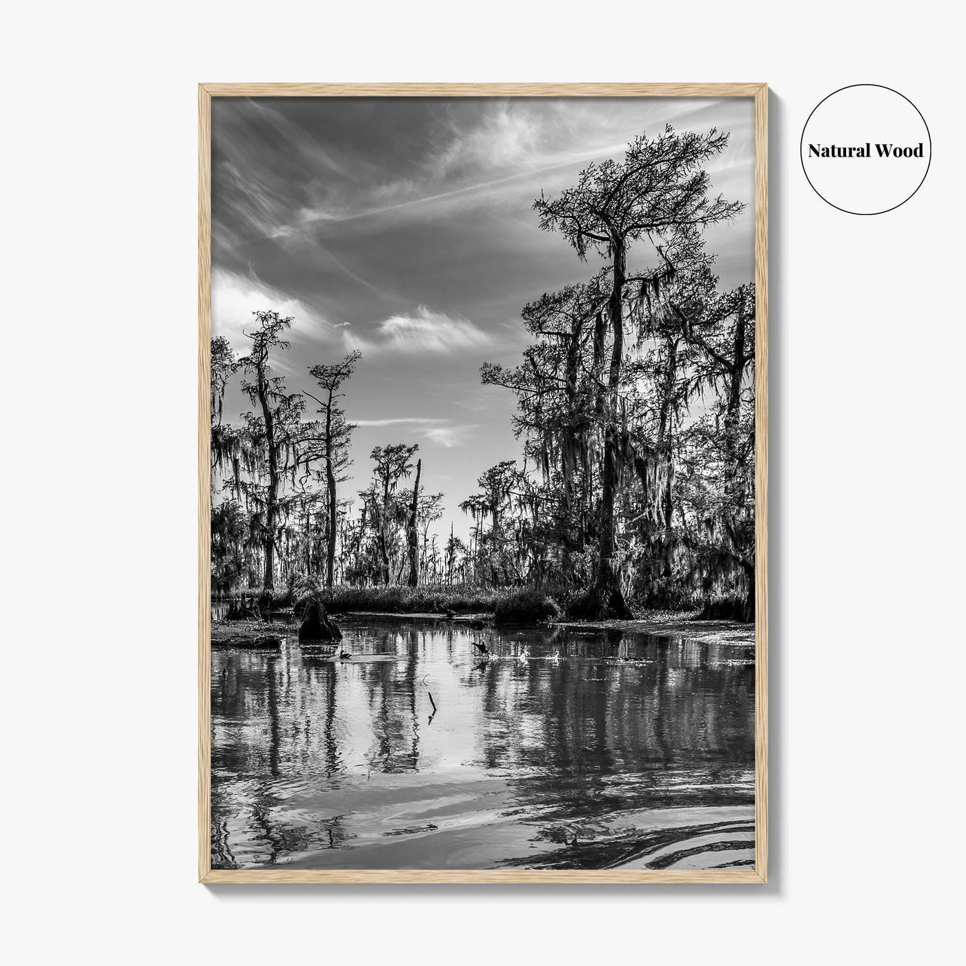 Louisiana Black and White Fine Art Photo Print, New Orleans Swamp, Bayou Poster