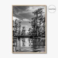Louisiana Black and White Fine Art Photo Print, New Orleans Swamp, Bayou Poster