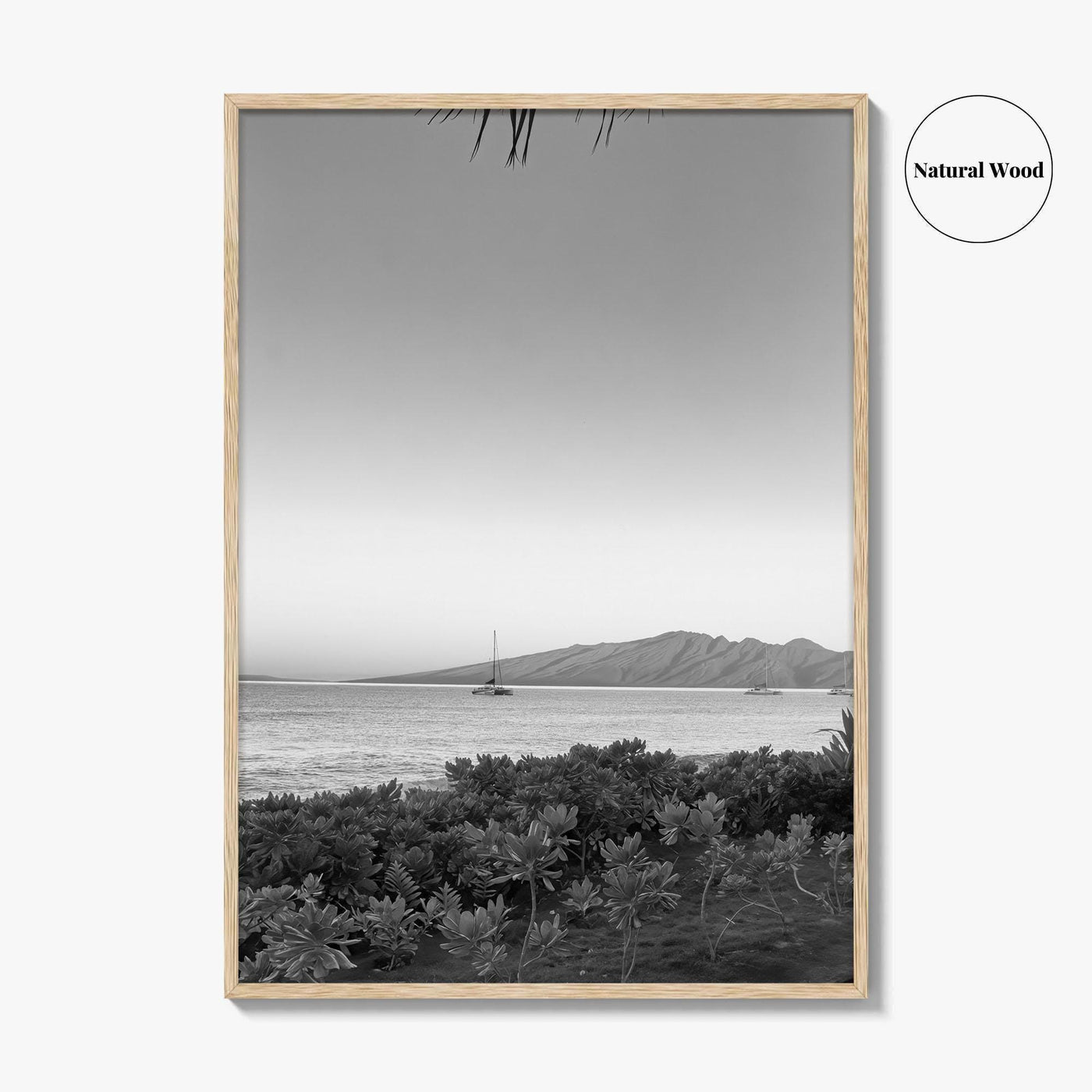 Lahaina Black and White Fine Art Photo Print, Kaanapali Beach, Molokai, Maui Hawaii Poster
