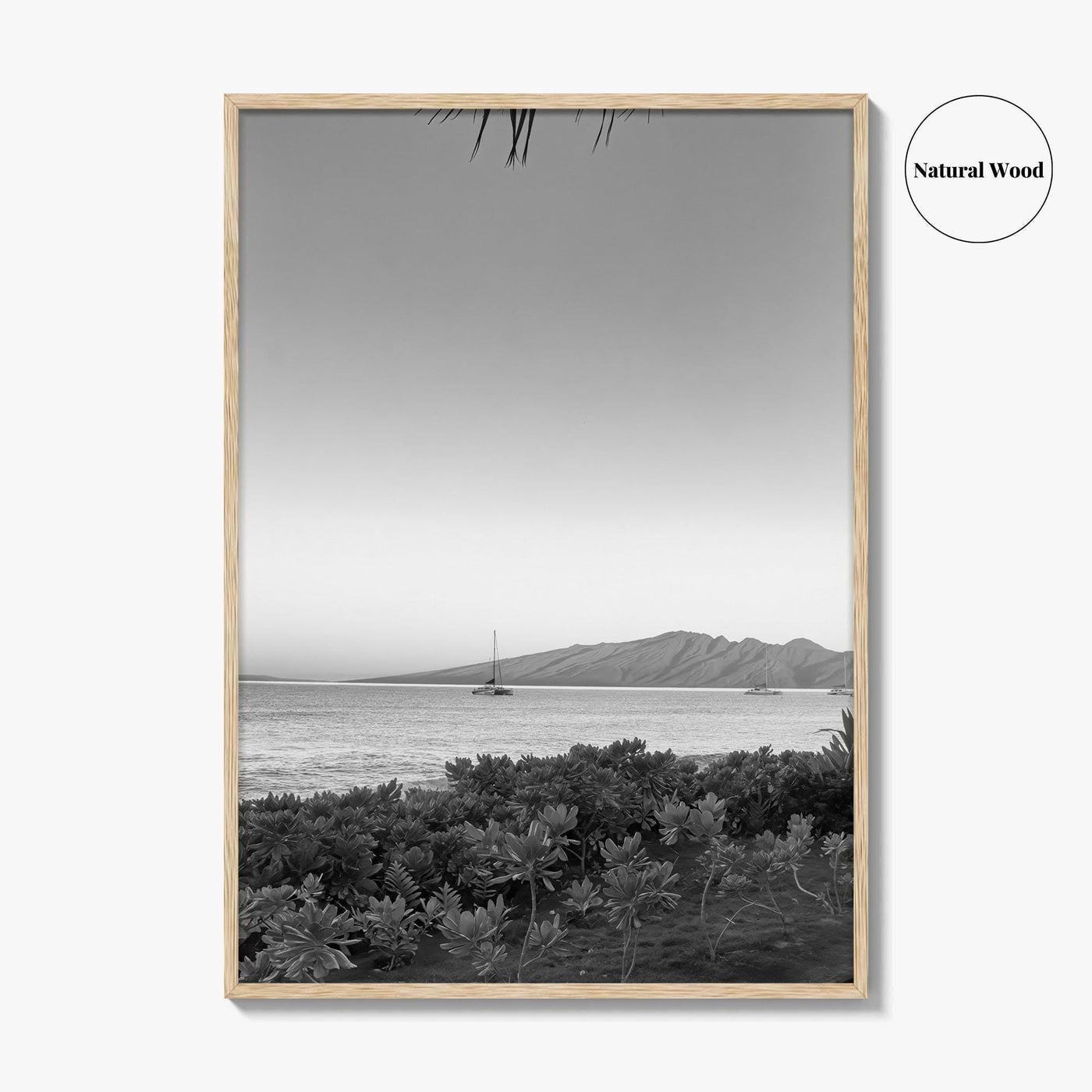 Lahaina Black and White Fine Art Photo Print, Kaanapali Beach, Molokai, Maui Hawaii Poster