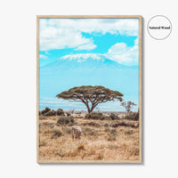Kenya Fine Art Photo Print, Amboseli National Park, Kilimanjaro, Zebra Wall Poster