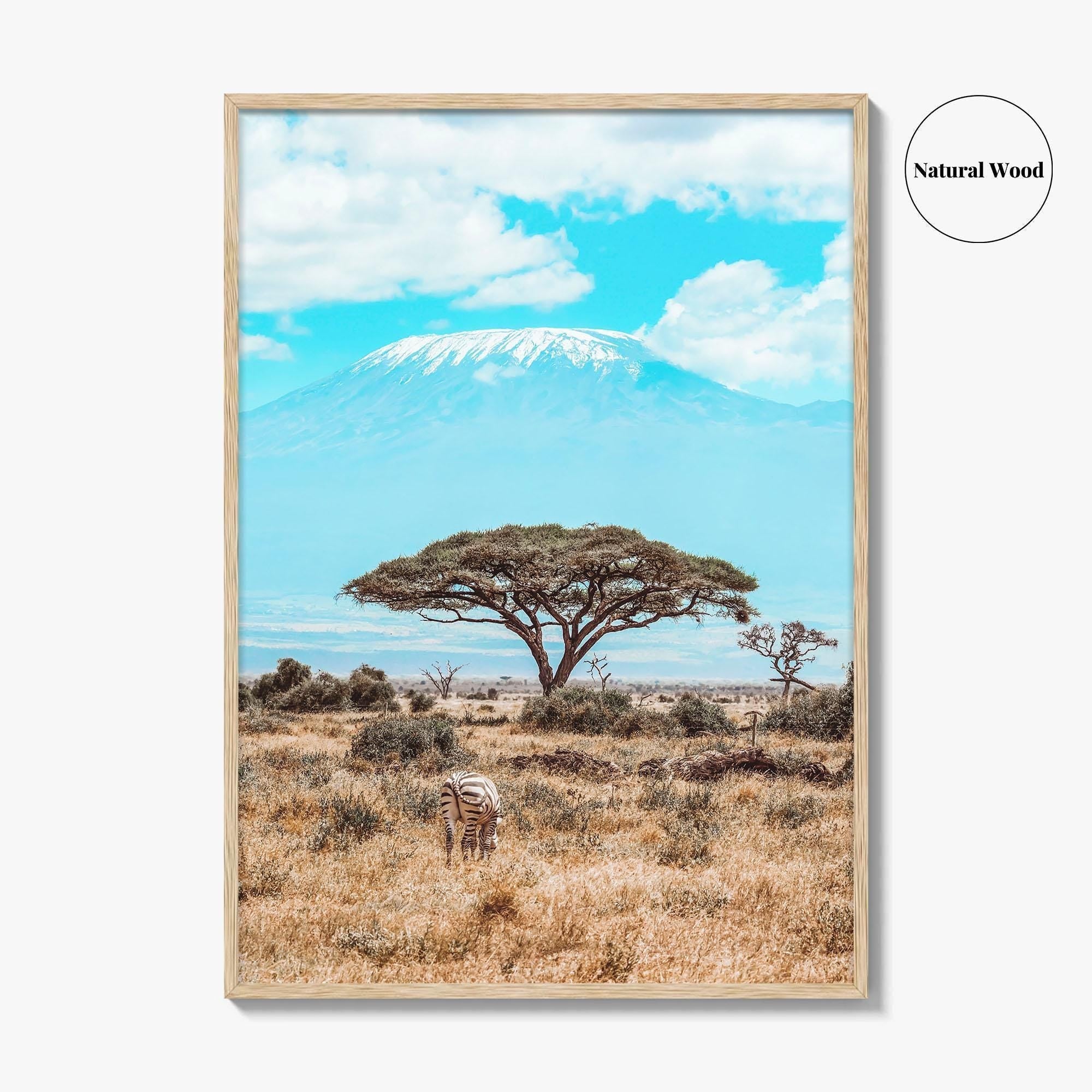 Kenya Fine Art Photo Print, Amboseli National Park, Kilimanjaro, Zebra Wall Poster