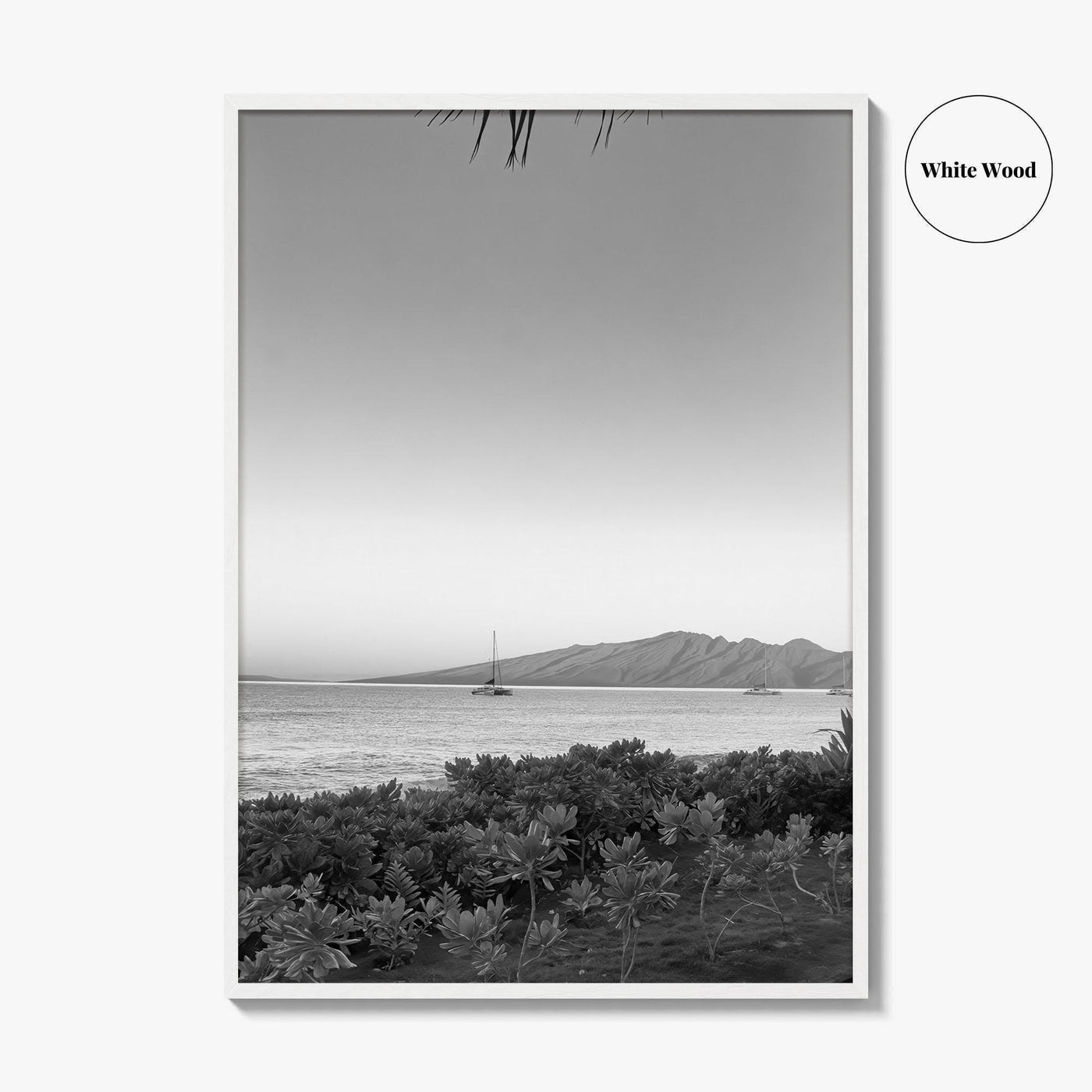 Lahaina Black and White Fine Art Photo Print, Kaanapali Beach, Molokai, Maui Hawaii Poster