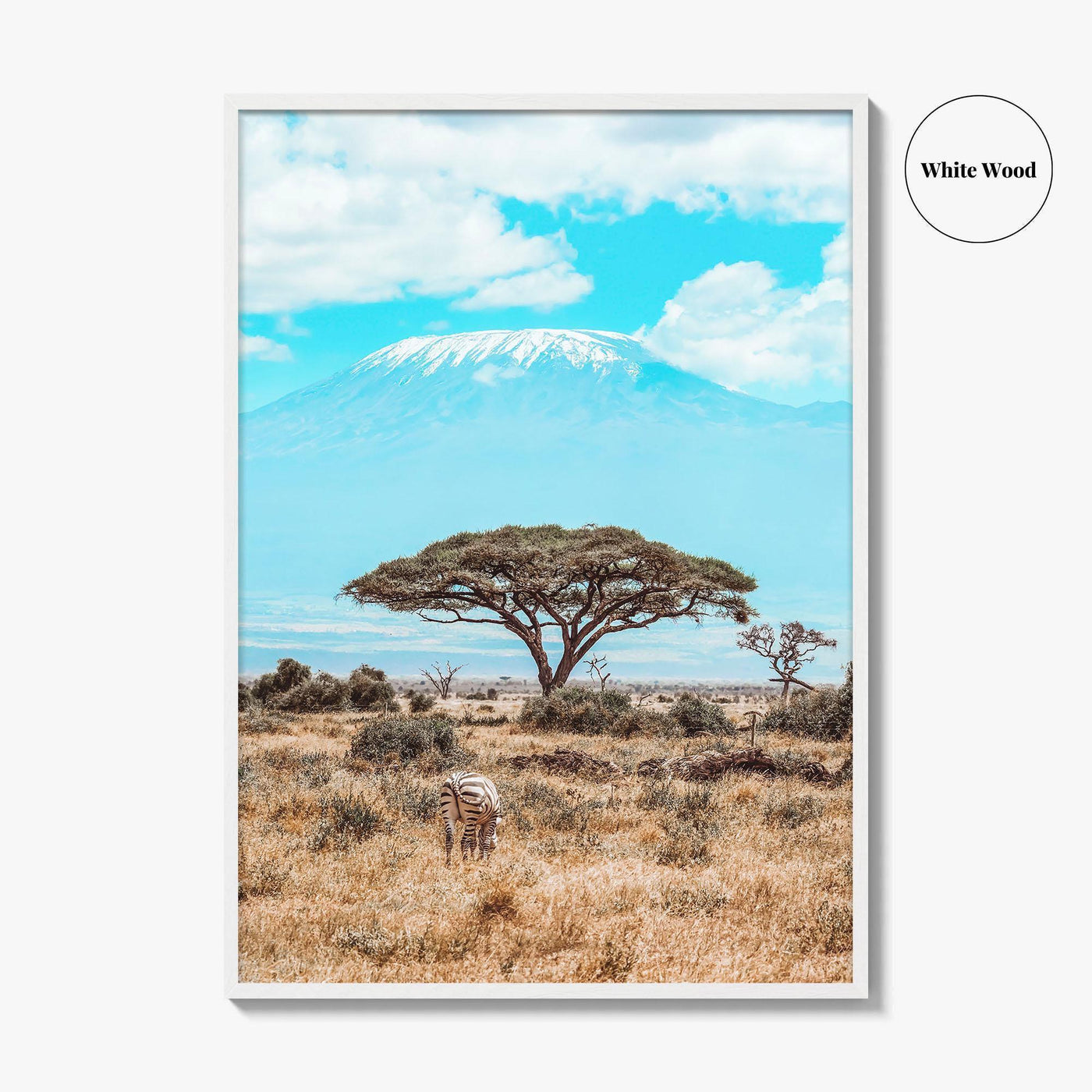 Kenya Fine Art Photo Print, Amboseli National Park, Kilimanjaro, Zebra Wall Poster