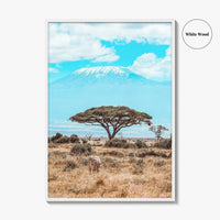 Kenya Fine Art Photo Print, Amboseli National Park, Kilimanjaro, Zebra Wall Poster