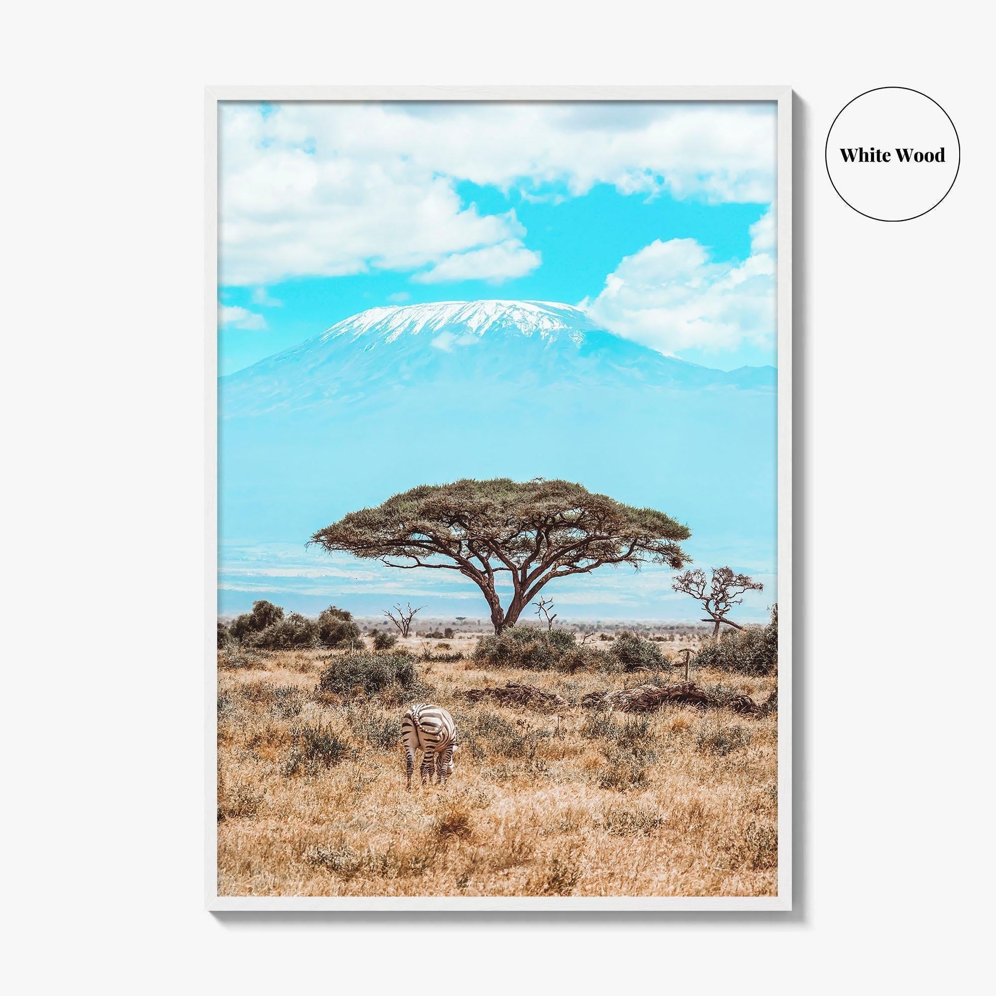 Kenya Fine Art Photo Print, Amboseli National Park, Kilimanjaro, Zebra Wall Poster