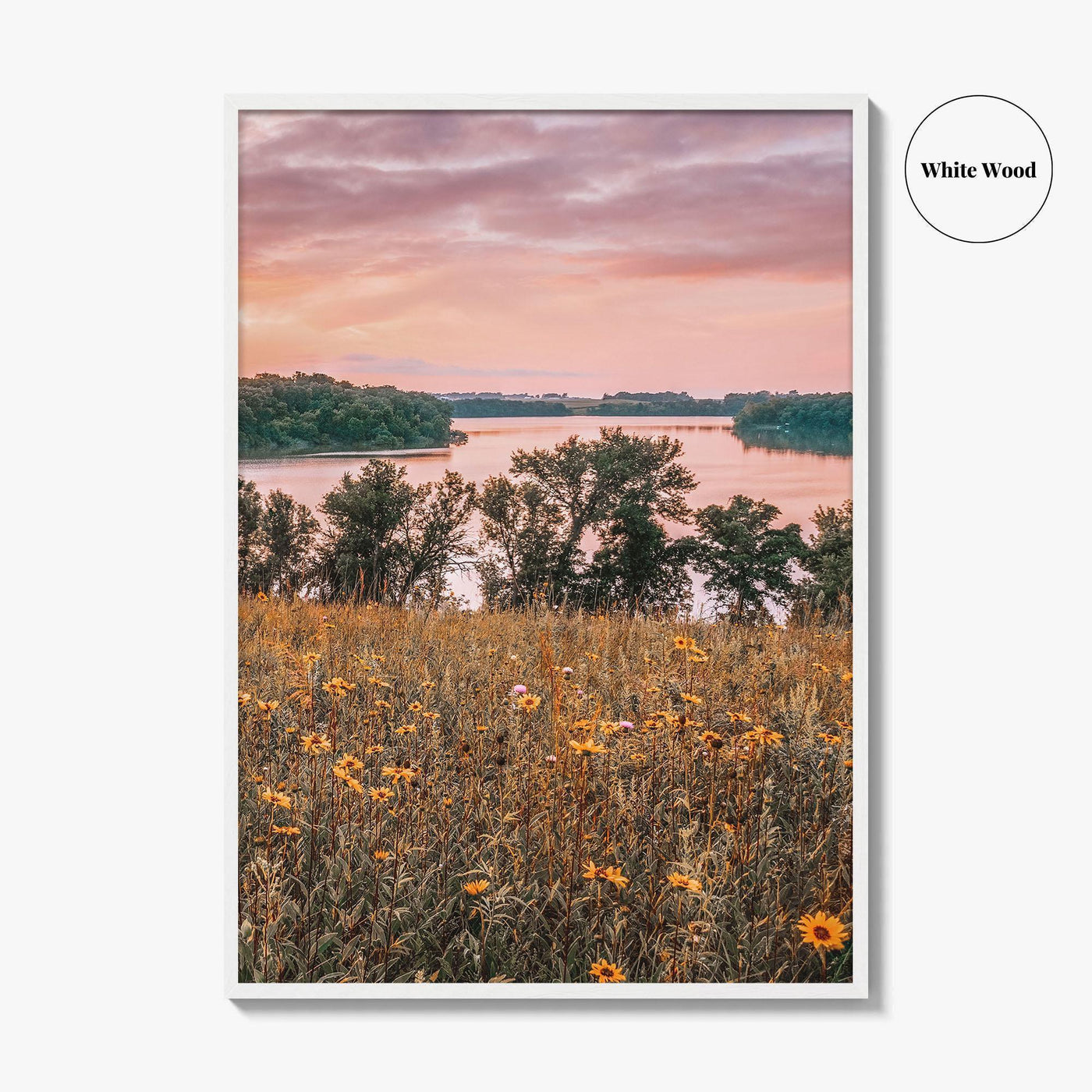 Minnesota Fine Art Photo Print, Summer Flowers Botanical Poster, USA