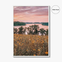 Minnesota Fine Art Photo Print, Summer Flowers Botanical Poster, USA