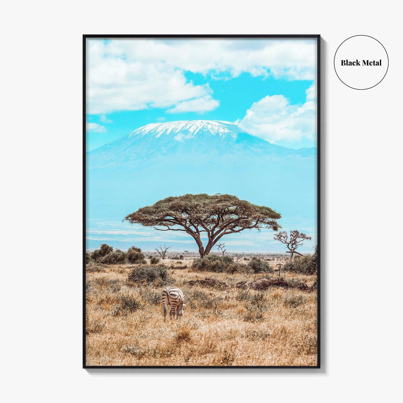 Kenya Fine Art Photo Print, Amboseli National Park, Kilimanjaro, Zebra Wall Poster