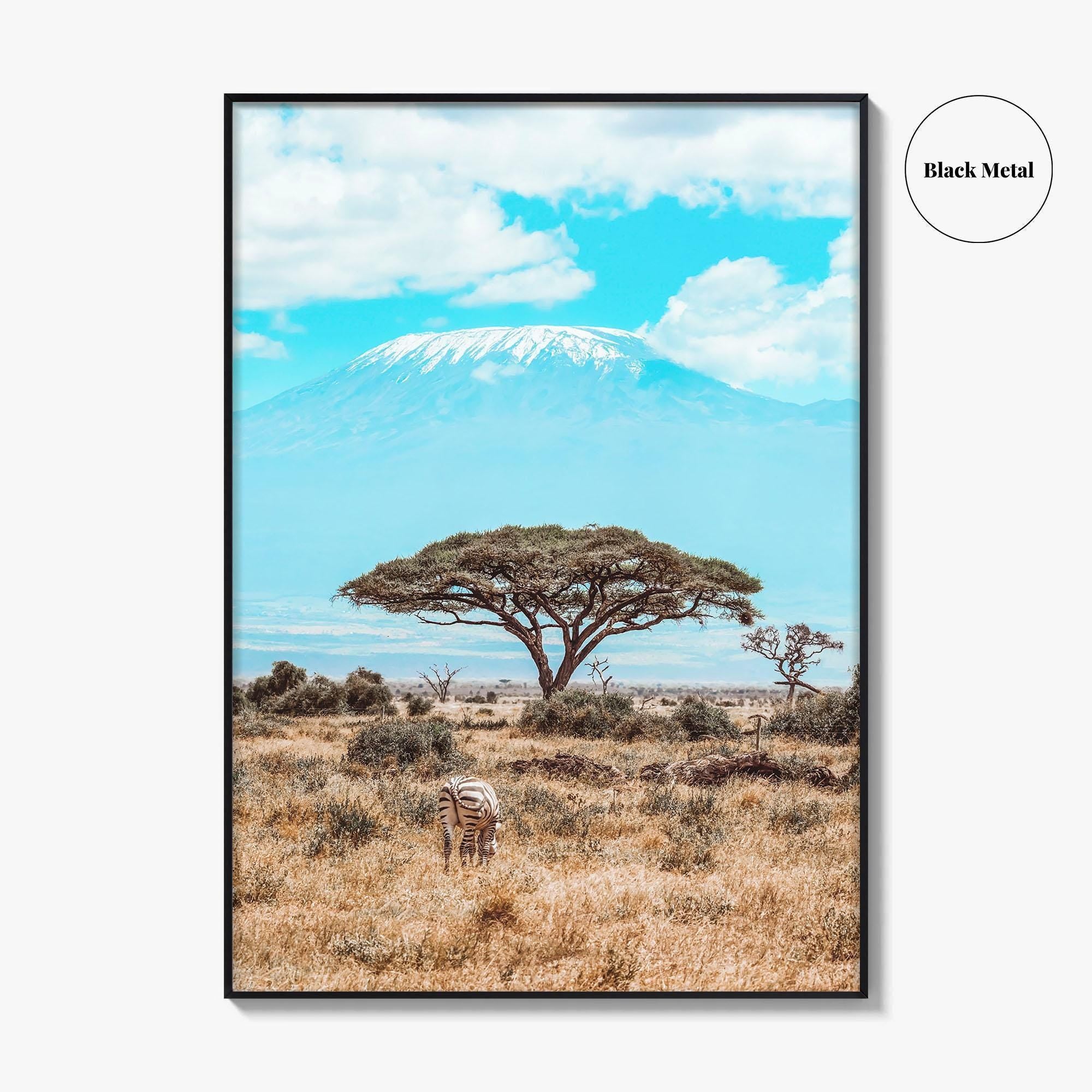 Kenya Fine Art Photo Print, Amboseli National Park, Kilimanjaro, Zebra Wall Poster