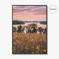 Minnesota Fine Art Photo Print, Summer Flowers Botanical Poster, USA