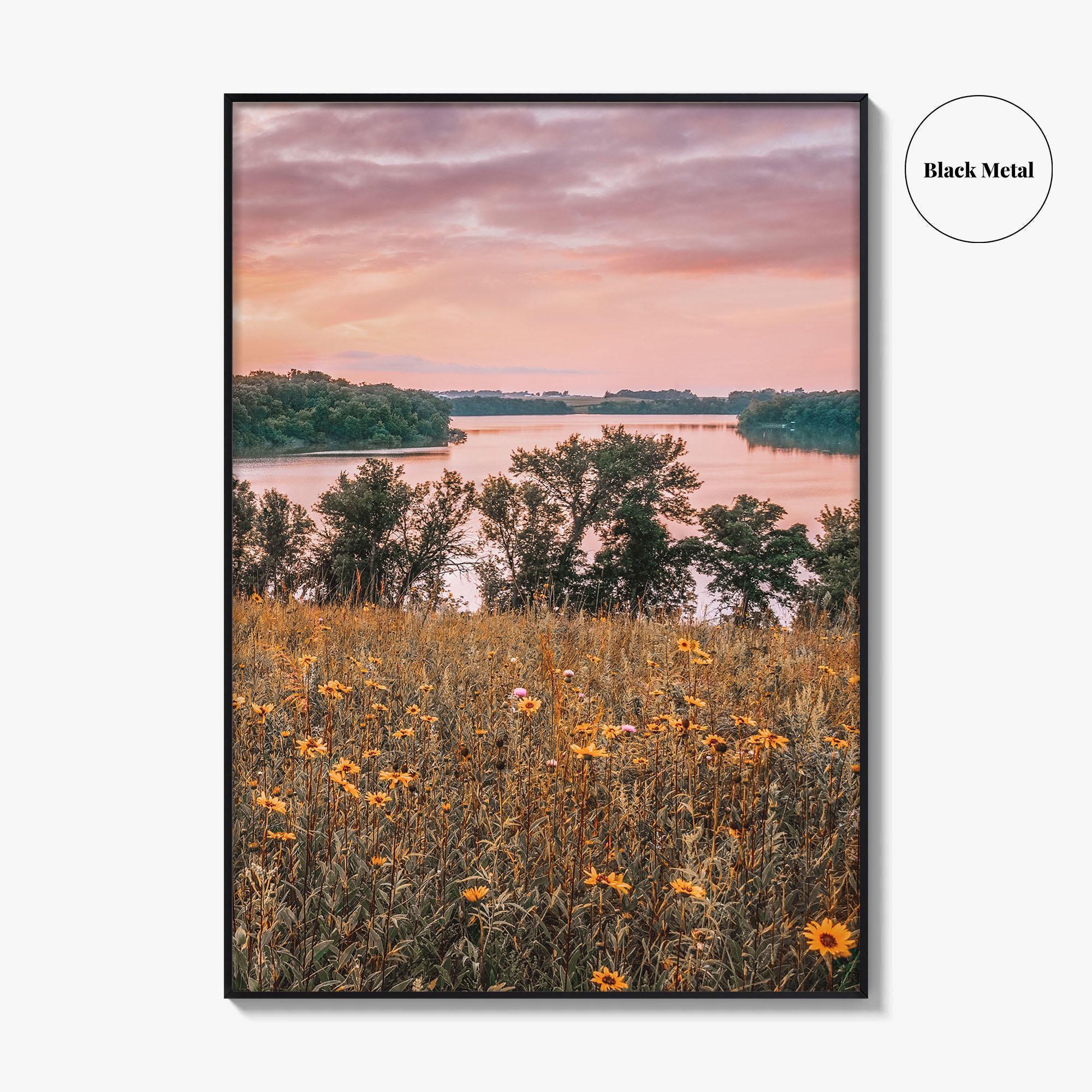Minnesota Fine Art Photo Print, Summer Flowers Botanical Poster, USA