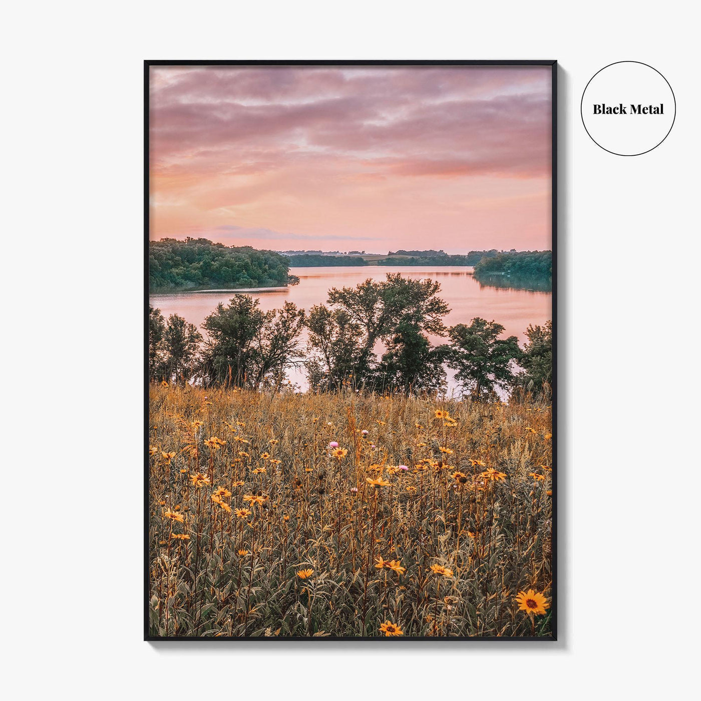 Minnesota Fine Art Photo Print, Summer Flowers Botanical Poster, USA