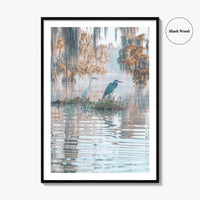Louisiana Fine Art Photo Print, Atchafalaya Basin, Lafayette, Caddo Lake, Swamp Wall Poster