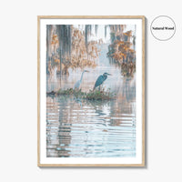 Louisiana Fine Art Photo Print, Atchafalaya Basin, Lafayette, Caddo Lake, Swamp Wall Poster