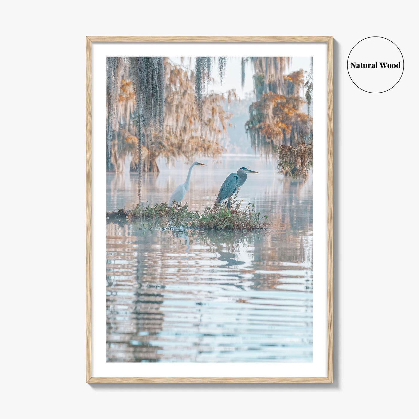 Louisiana Fine Art Photo Print, Atchafalaya Basin, Lafayette, Caddo Lake, Swamp Wall Poster