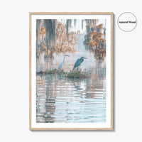 Louisiana Fine Art Photo Print, Atchafalaya Basin, Lafayette, Caddo Lake, Swamp Wall Poster
