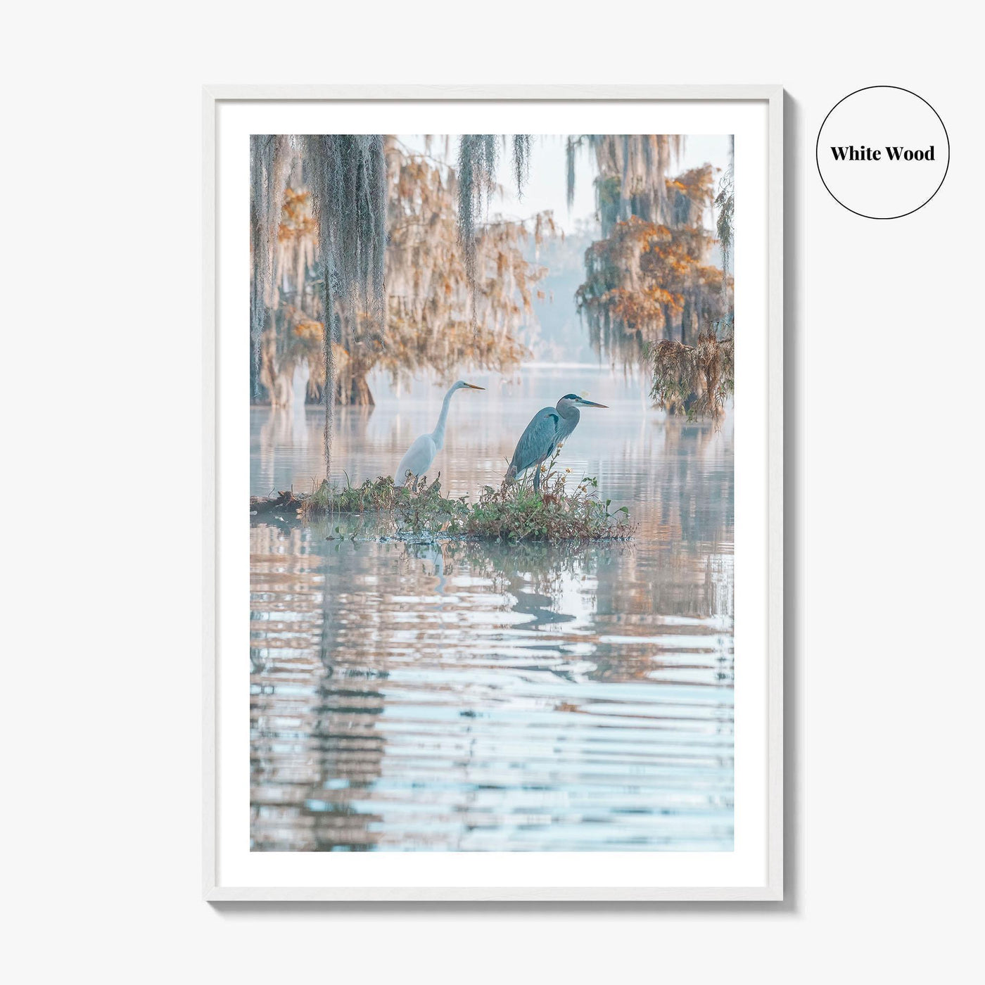 Louisiana Fine Art Photo Print, Atchafalaya Basin, Lafayette, Caddo Lake, Swamp Wall Poster