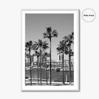Long Beach Skyline Black and White Fine Art Photo Print, California Poster