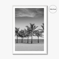 Key Biscayne Black and White Fine Art Photo Print, Miami Palm Trees Florida Poster