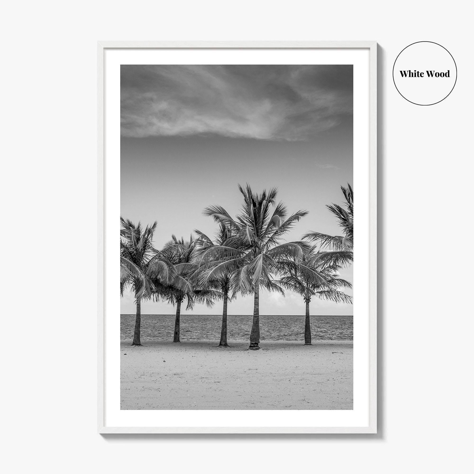 Key Biscayne Black and White Fine Art Photo Print, Miami Palm Trees Florida Poster