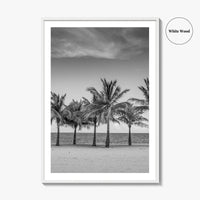 Key Biscayne Black and White Fine Art Photo Print, Miami Palm Trees Florida Poster