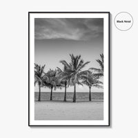 Key Biscayne Black and White Fine Art Photo Print, Miami Palm Trees Florida Poster