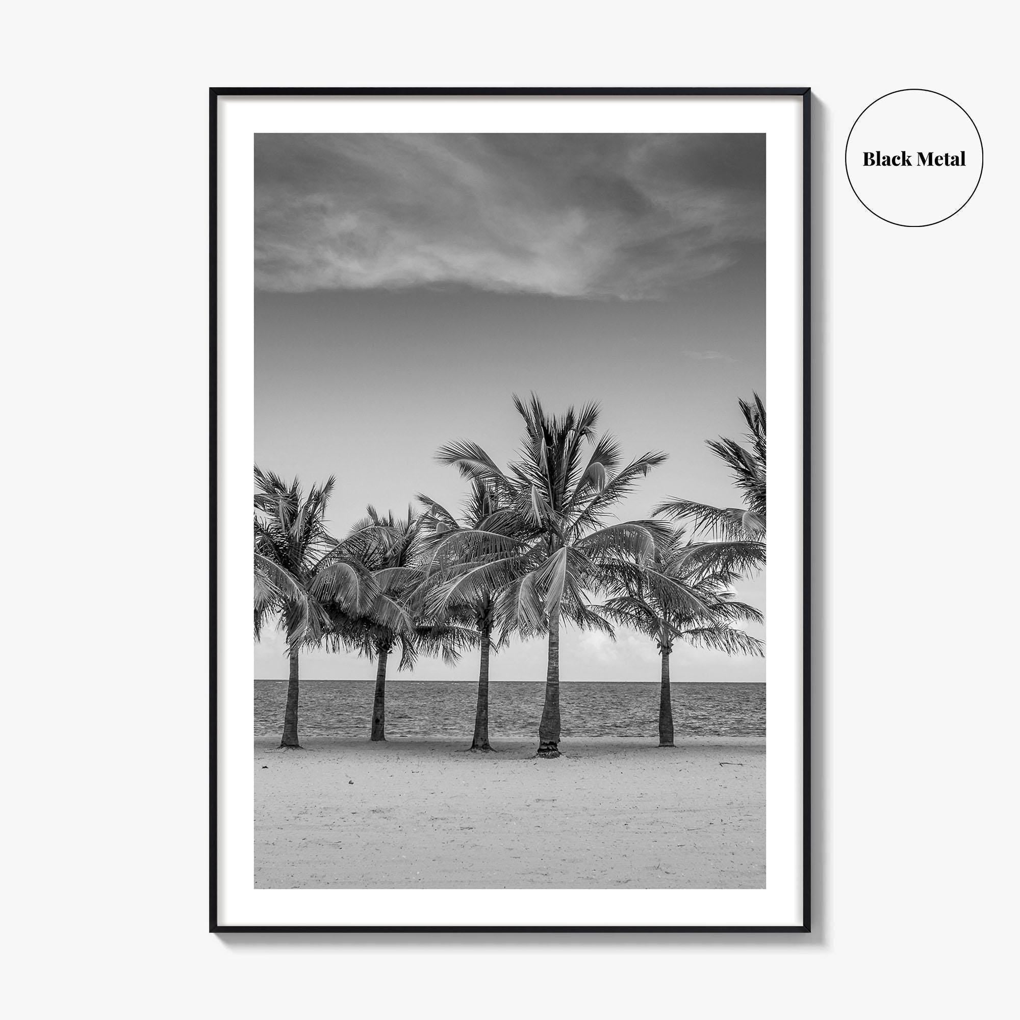 Key Biscayne Black and White Fine Art Photo Print, Miami Palm Trees Florida Poster