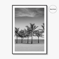 Key Biscayne Black and White Fine Art Photo Print, Miami Palm Trees Florida Poster