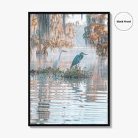 Louisiana Fine Art Photo Print, Atchafalaya Basin, Lafayette, Caddo Lake, Swamp Wall Poster