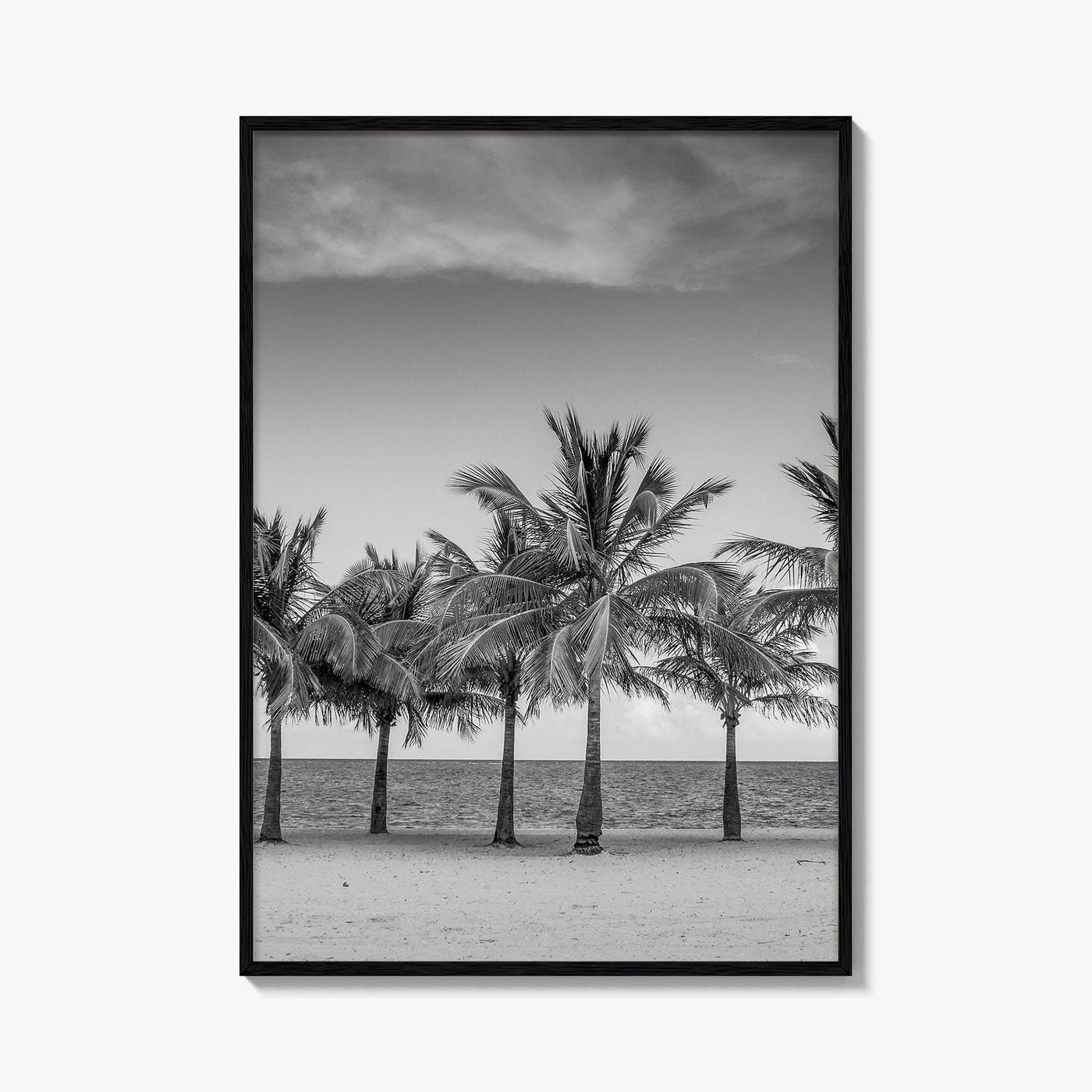 Key Biscayne Black and White Fine Art Photo Print, Miami Palm Trees Florida Poster