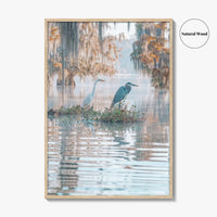 Louisiana Fine Art Photo Print, Atchafalaya Basin, Lafayette, Caddo Lake, Swamp Wall Poster