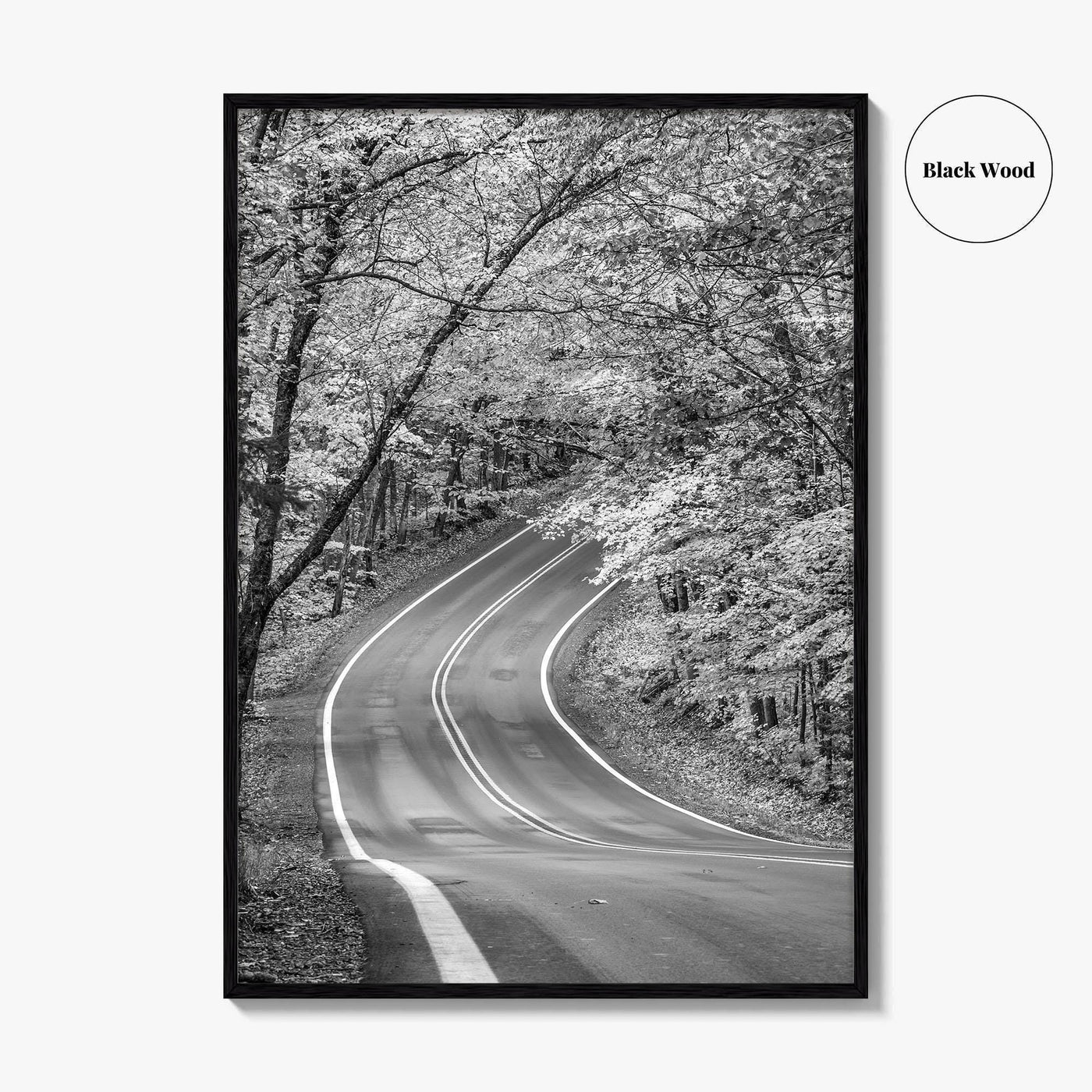Michigan Black and White Fine Art Photo Print, Keweenaw Peninsula Scenic Byway M41 Poster