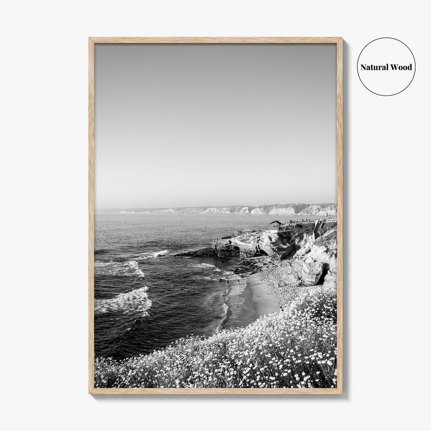 La Jolla Black and White Fine Art Photo Print, San Diego California Poster