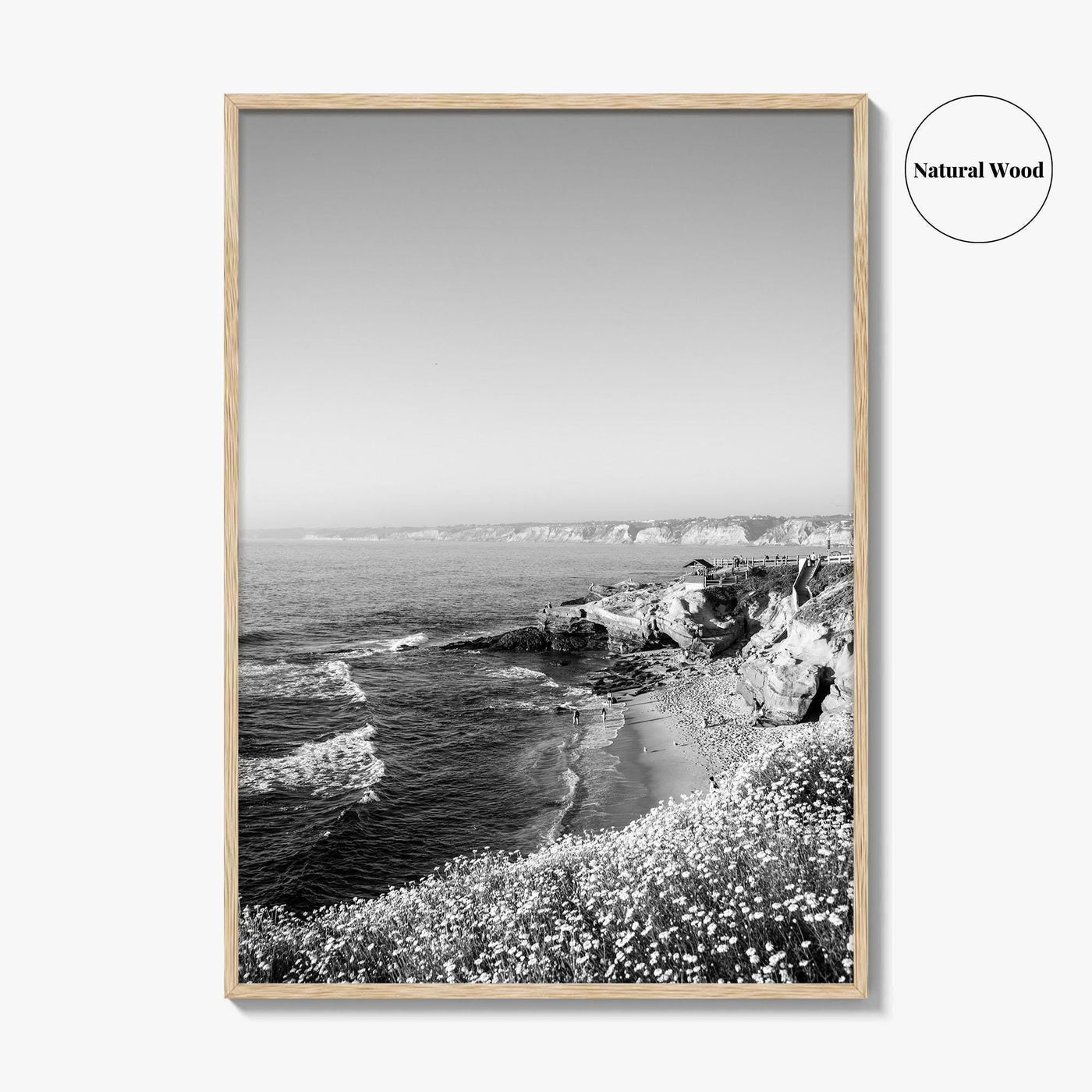 La Jolla Black and White Fine Art Photo Print, San Diego California Poster