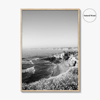 La Jolla Black and White Fine Art Photo Print, San Diego California Poster